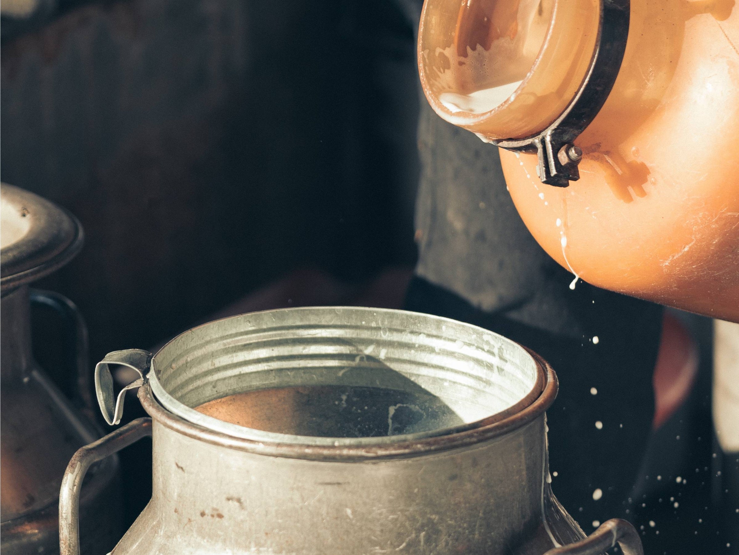 Latte, una bevanda completa - ZiaCris