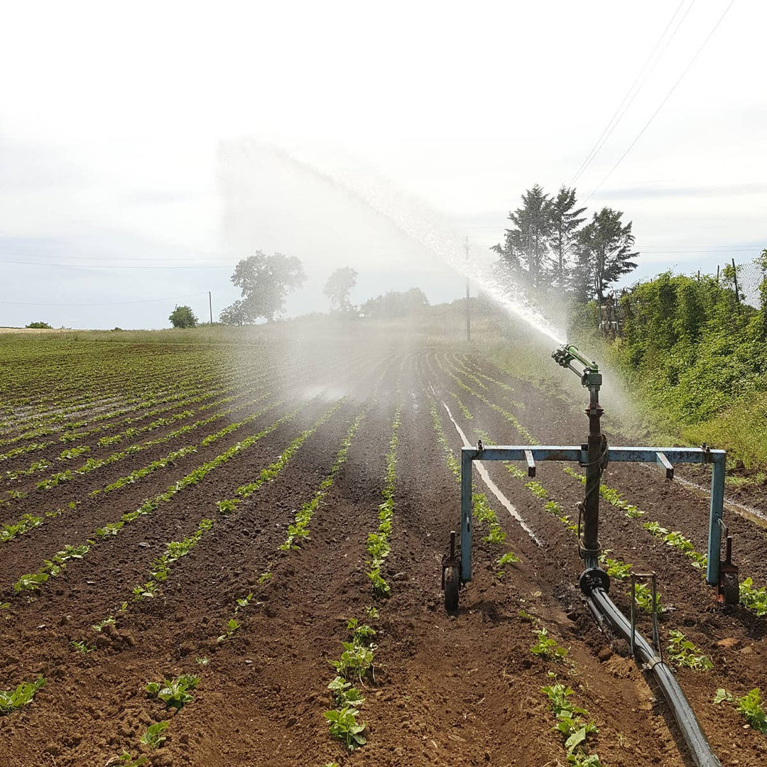 Lentejas Variadas Ecológicas 300g