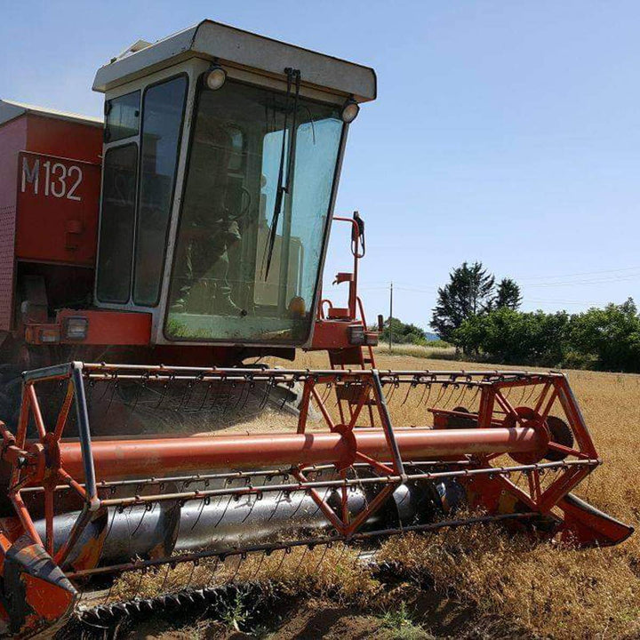 Lentejas Variadas Ecológicas 300g