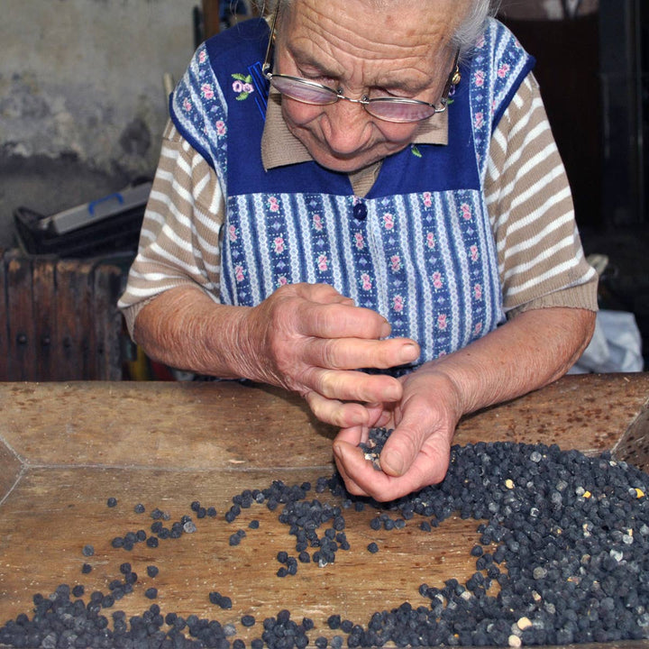 Garbanzos negros de Tuscia Viterbese 400g