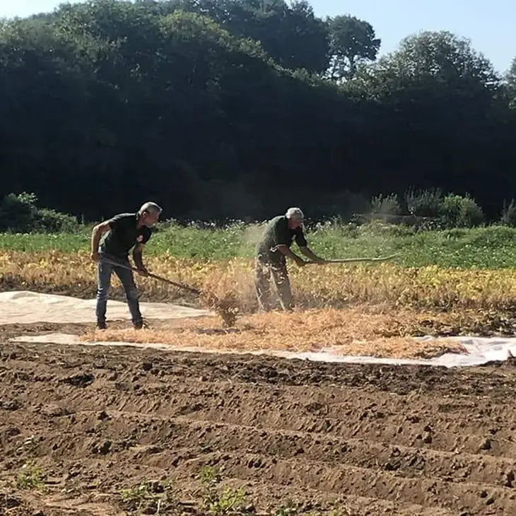 Frijoles negros orgánicos 300g