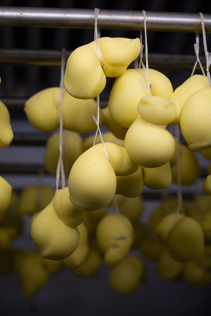 Provola stagionata di mucca bio 400g