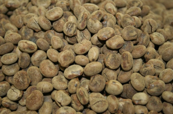 Café Anterivo (mezcla tostada de cebada, altramuz y trigo) sin cafeína SlowFood 125g