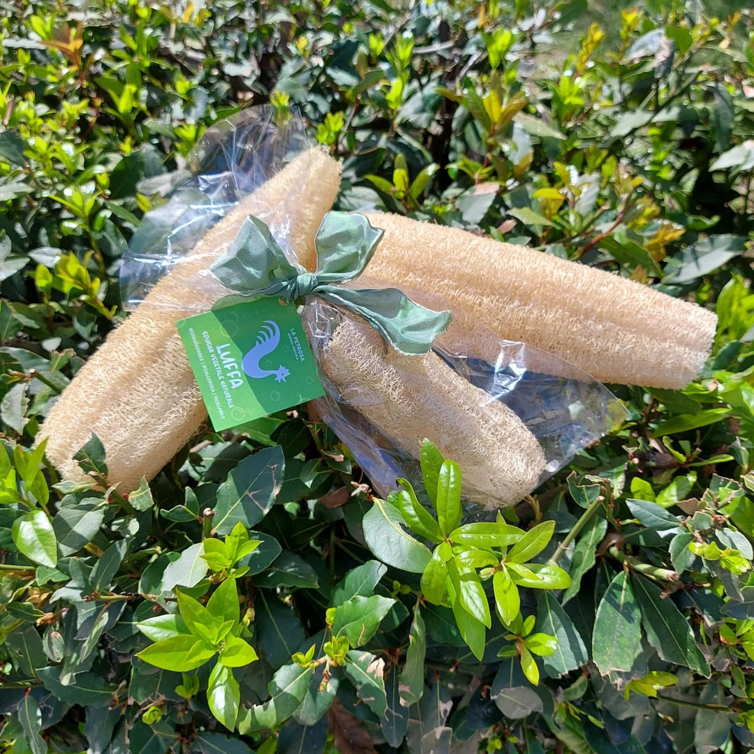 Spugna di Luffa naturale 5x14 cm