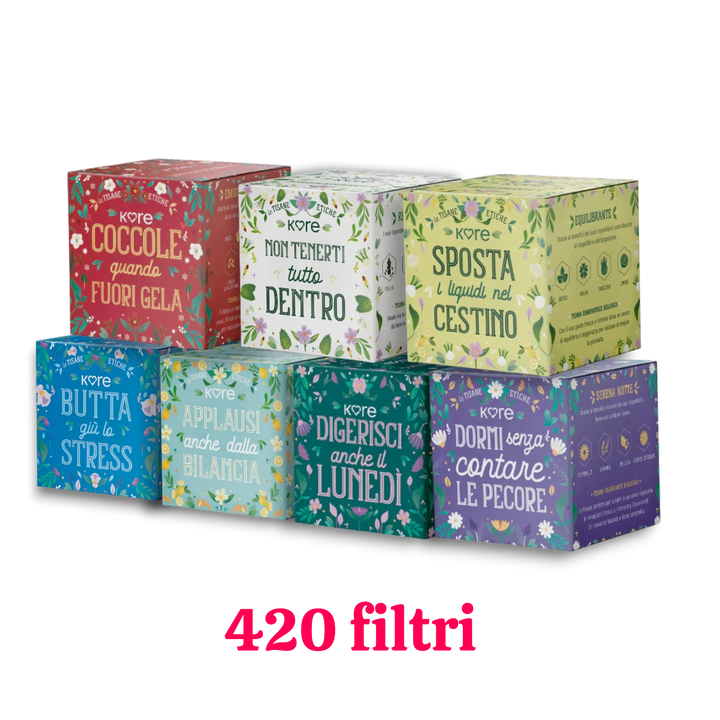 Infusión ética Buon Respiro bio caja 10 filtros