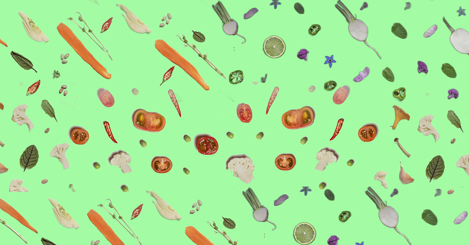 Cappellini Laboratorio Vegetale - ZiaCris