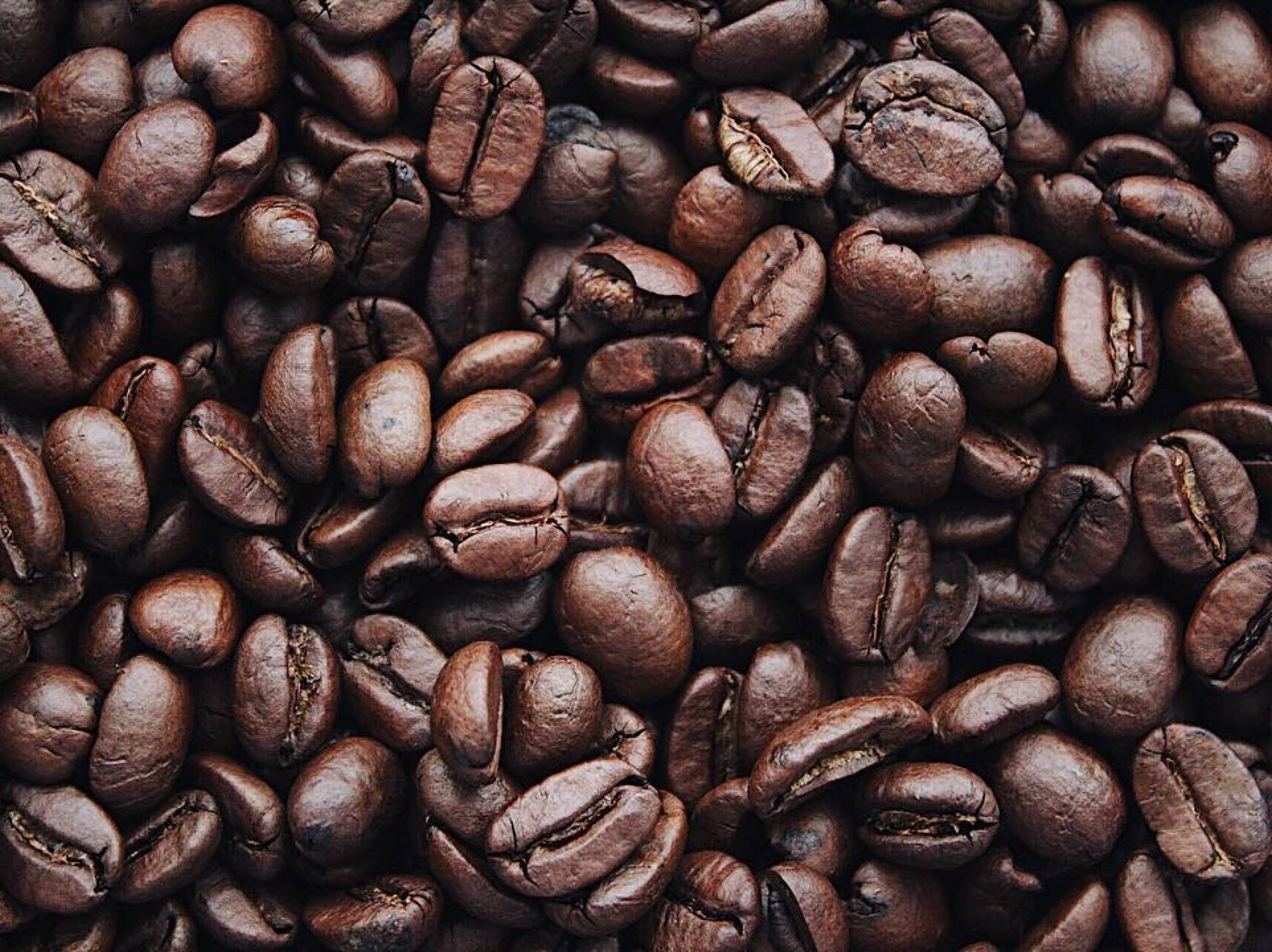 Caffè e succedanei: caldi abbracci e sapori intensi - ZiaCris