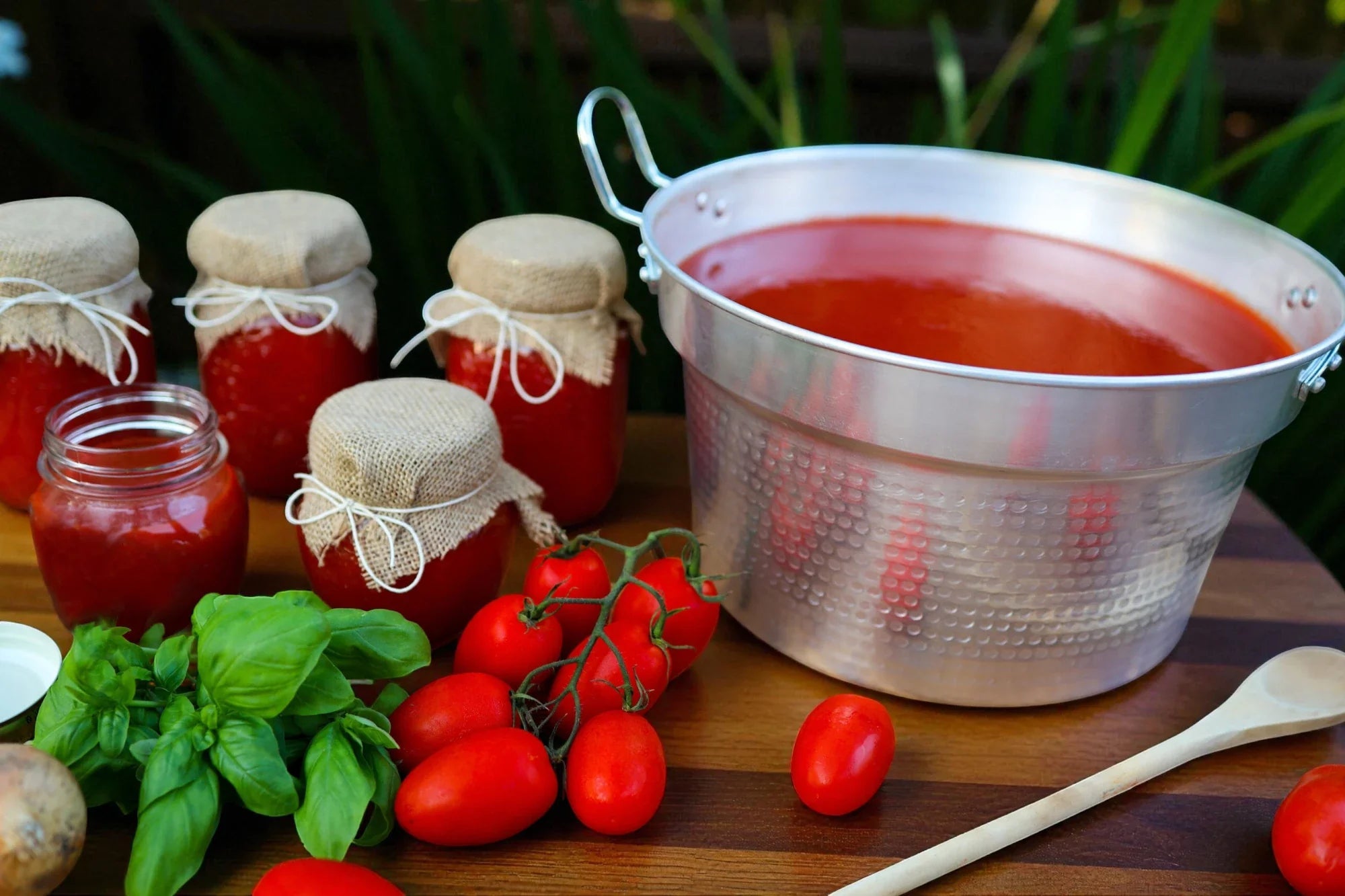 conserve di pomodoro - ZiaCris DispensAttiva
