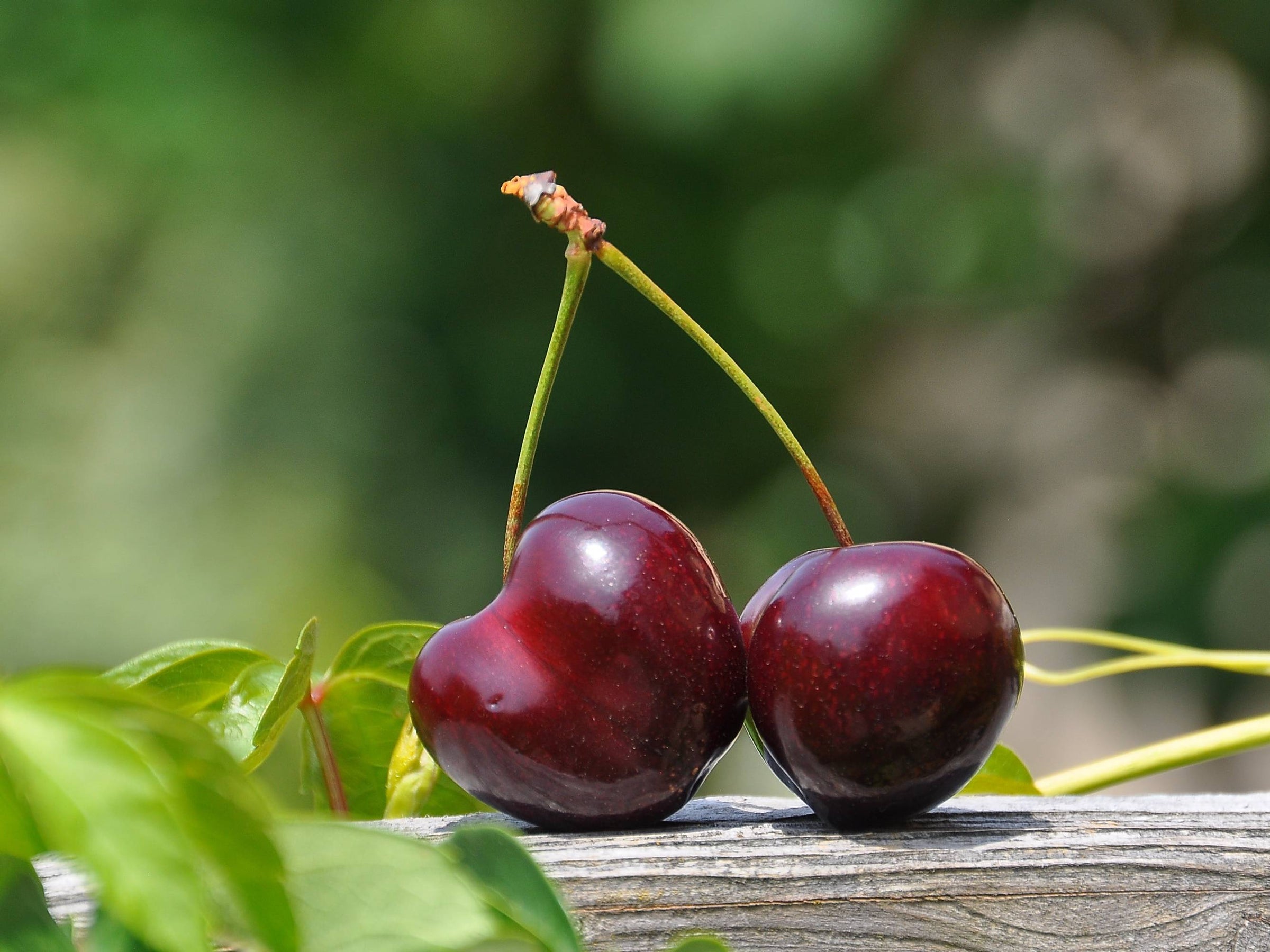 Frutta primaversione - ZiaCris