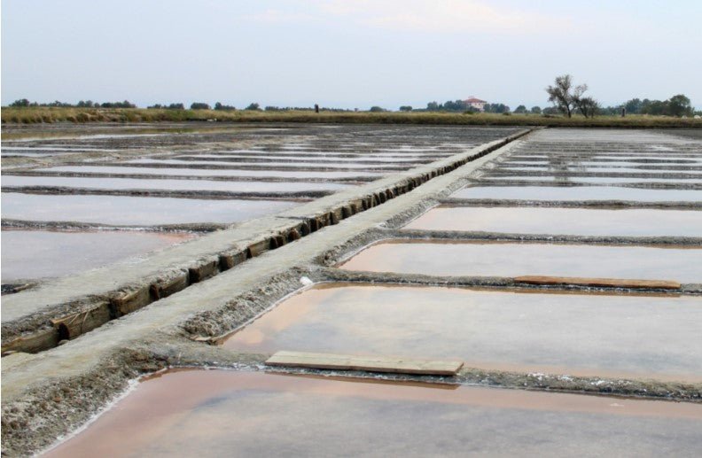 Sale e insaporitori: un tocco di sapore per ogni piatto - ZiaCris DispensAttiva
