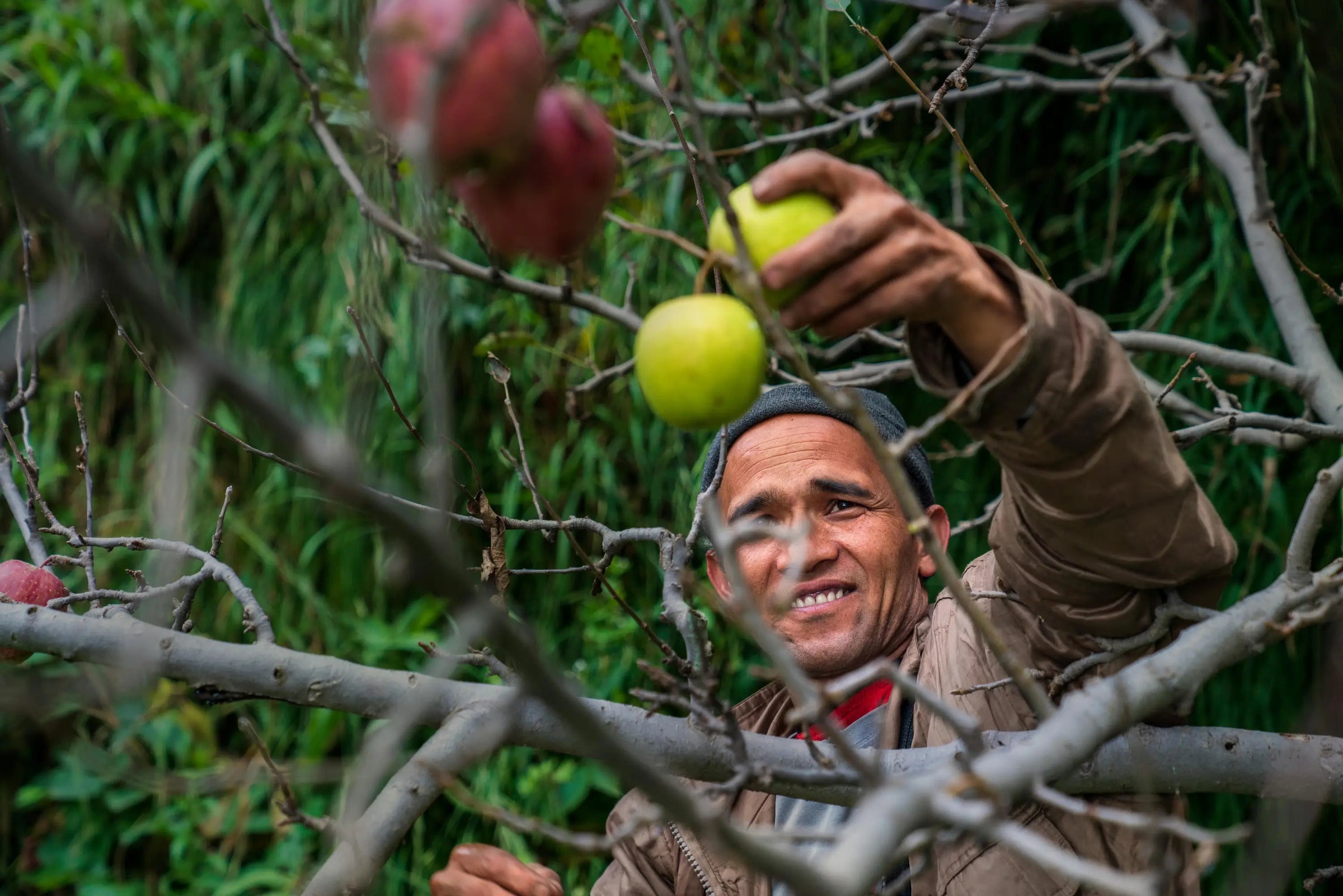 Visione e obiettivi - ZiaCris DispensAttiva