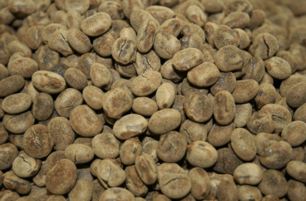 Caffè di Anterivo (miscela tostata di orzo, lupino e grano) senza caffeina SlowFood 125g Famiglia Cooperativa di Cavalese
