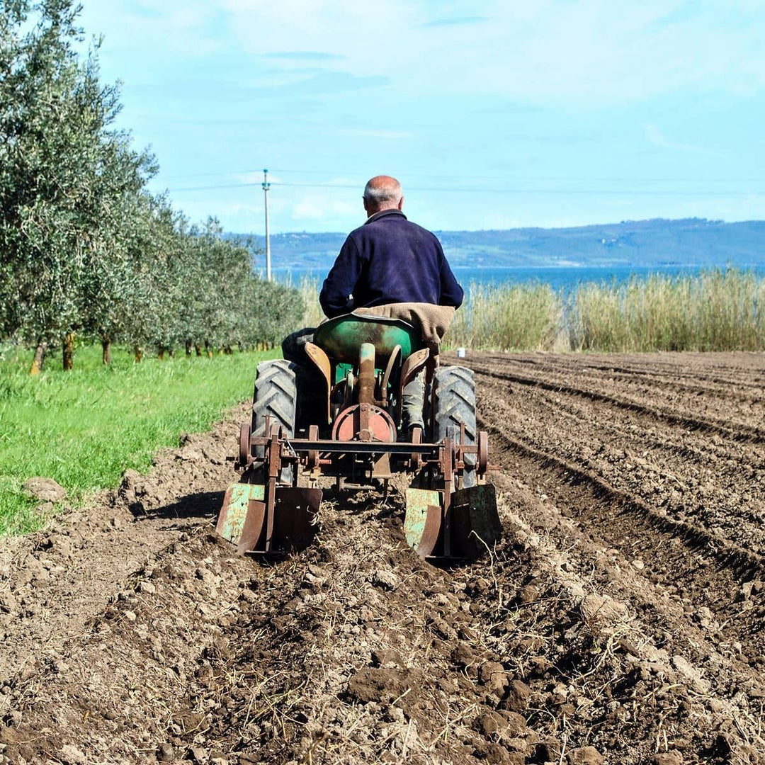 Ceci croccanti della Tuscia Viterbese 400g A.G.R. s.r.l.