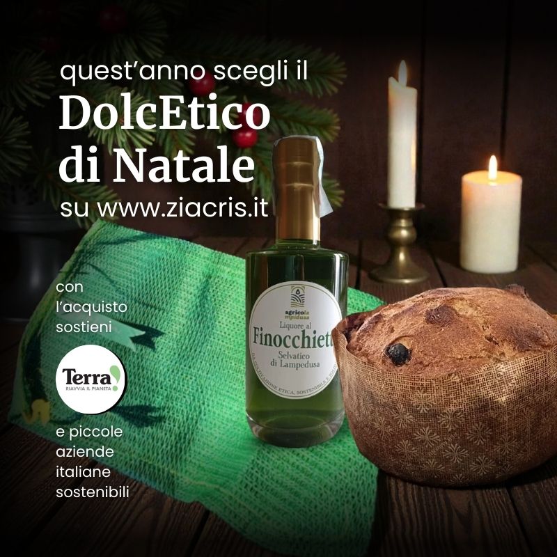 DolcEtico di Natale ZiaCris