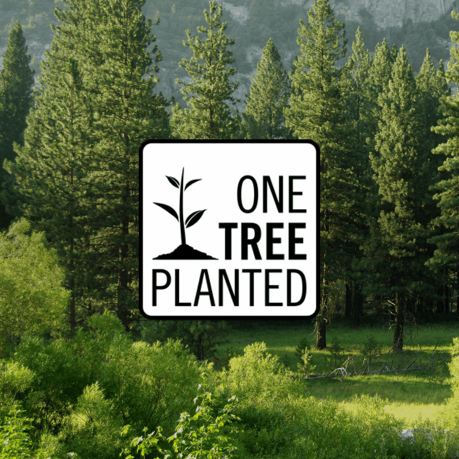 Dona un albero One Tree Planted