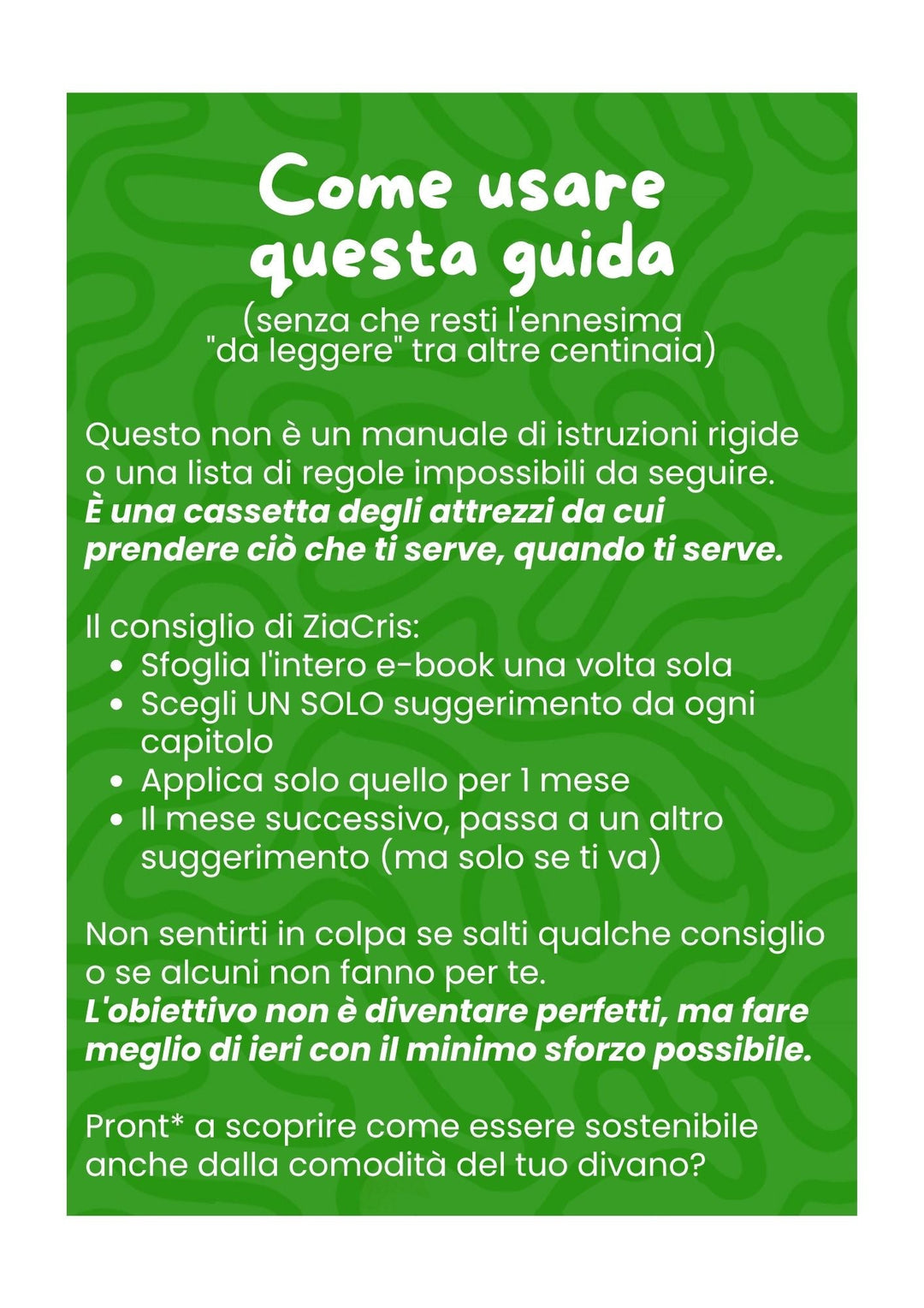 EBOOK "Attivismo sostenibile per pigri" 34 pagine (pdf) ZiaCris