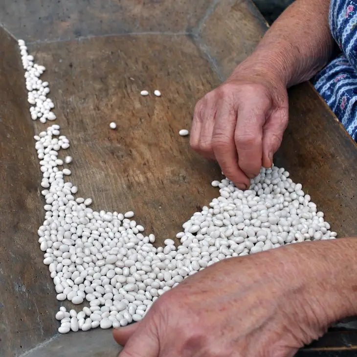 Fagioli cannellini biologici 300g A.G.R. s.r.l.