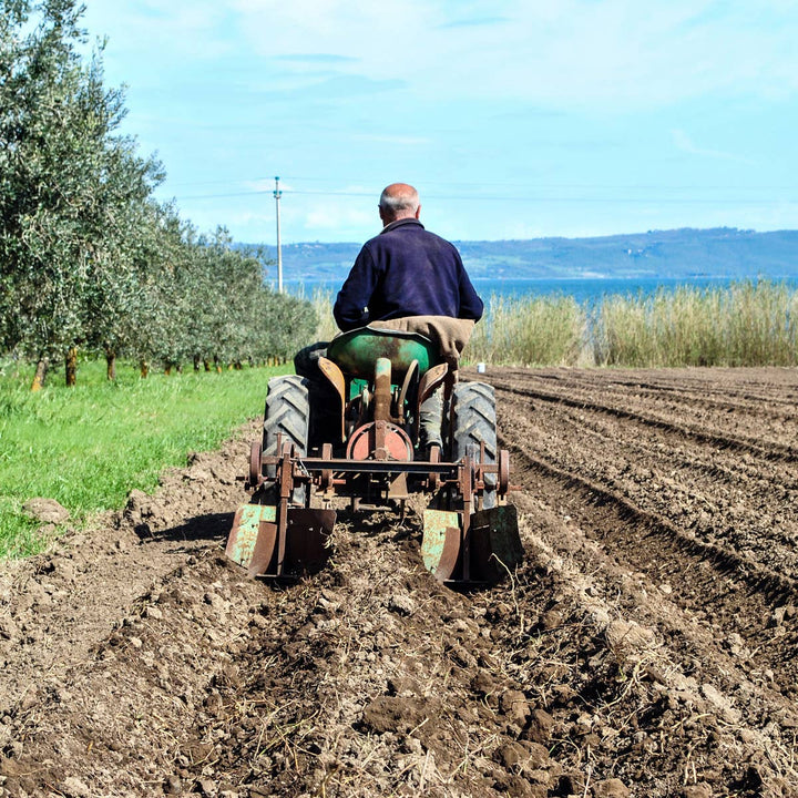 Lenticchie di Onano IGP 400g A.G.R. s.r.l.