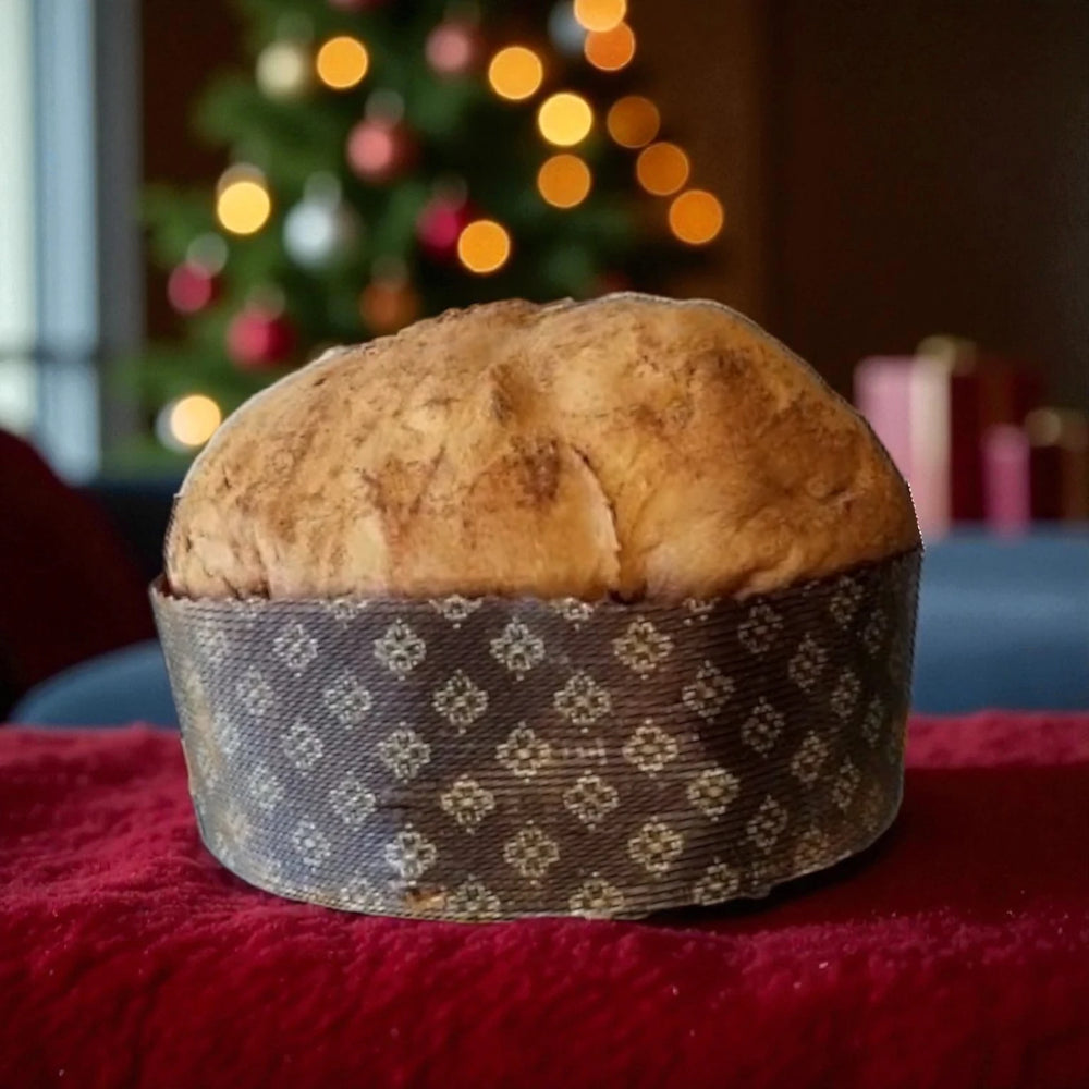 Panettone artigianale alla carruba e arancia candita senza lattosio 800g Solo Panettone 800g Natura Humana