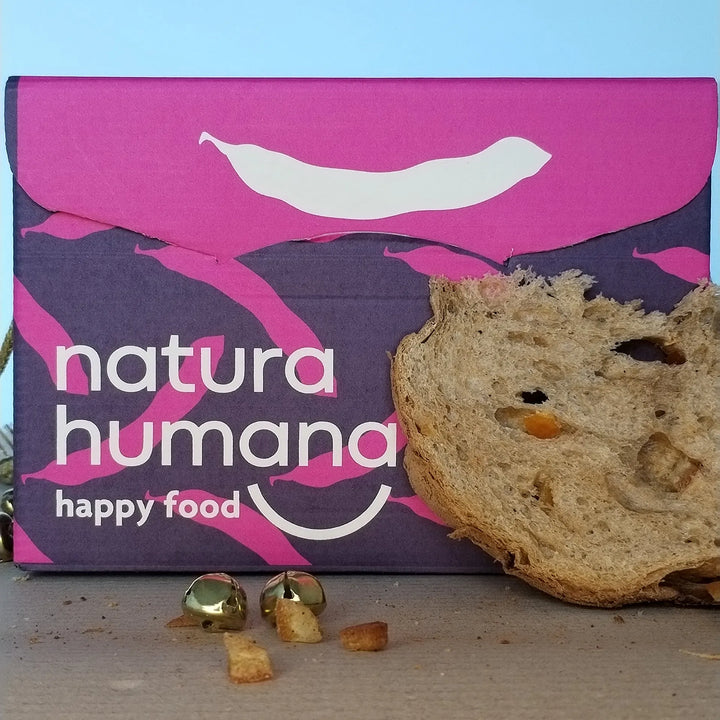 Panettone artigianale alla carruba e arancia candita senza lattosio 800g Natura Humana