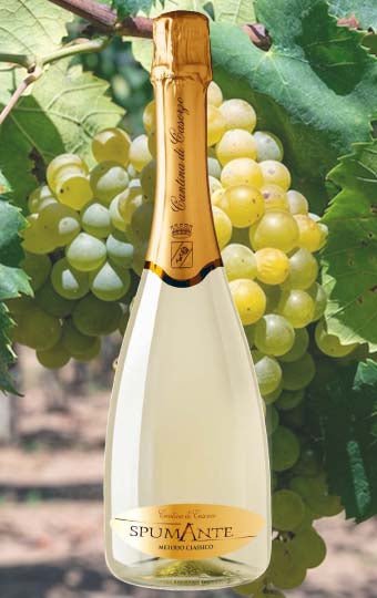 Spumante Dry Millesimato "Svitato” 75cl - ZiaCris