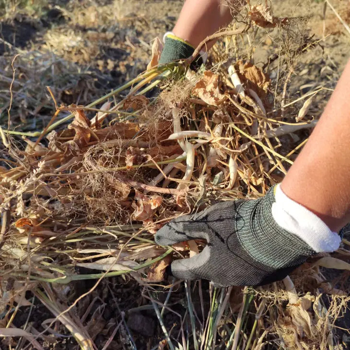 Zuppa Birichina secca 400g A.G.R. s.r.l.