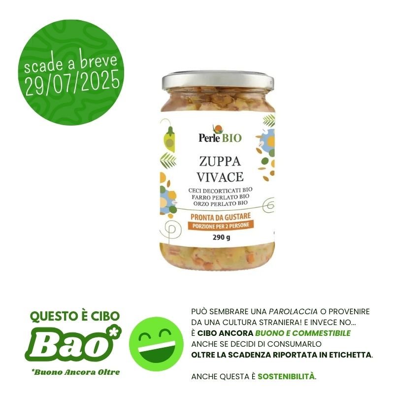 Zuppa Vivace pronta bio 290g - A.G.R. s.r.l. - ZiaCris DispensAttiva